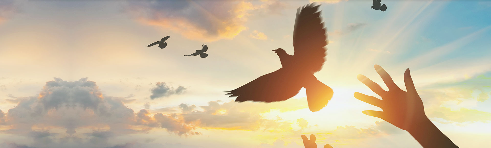 ���˻ᡤ(�й�)-�ٷ���վ