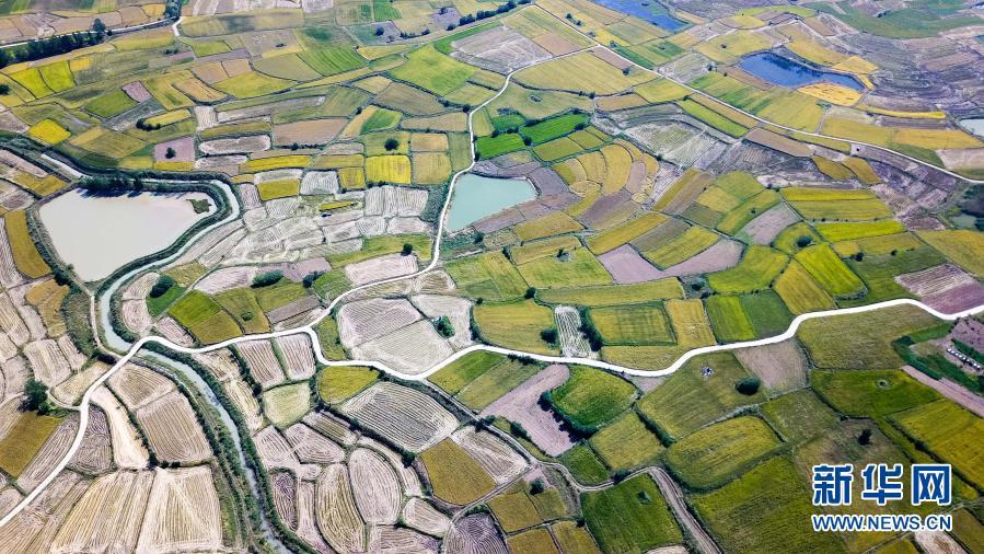 ÇòÃ˻ᡤ(Öйú)-¹Ù·½ÍøÕ¾